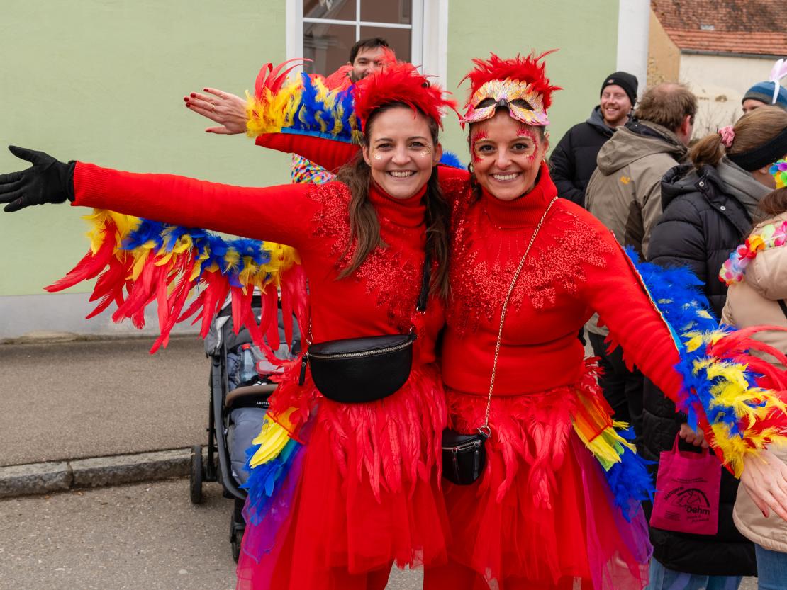 Faschingsumzug Megesheim