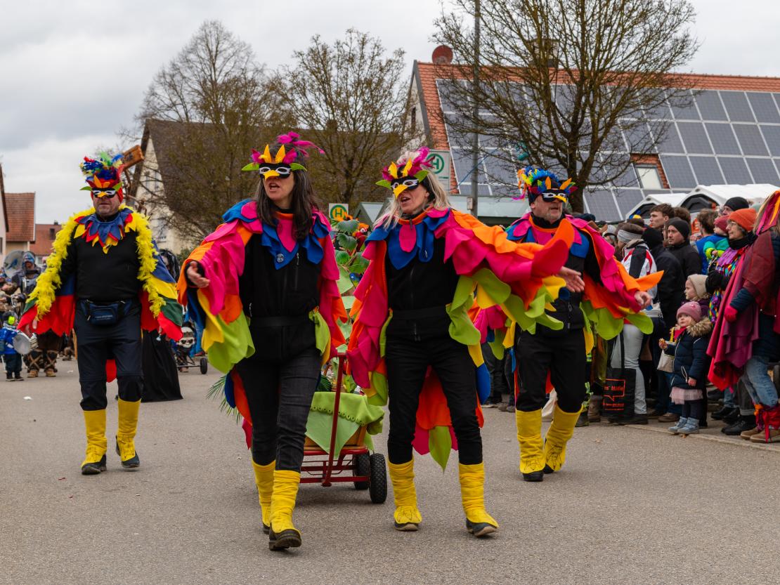 Faschingsumzug Megesheim 2026