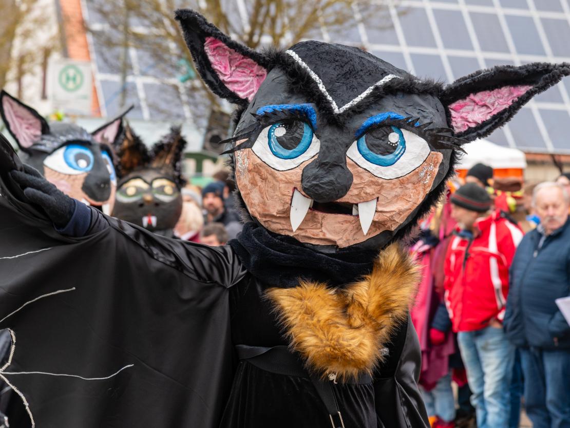 Faschingsumzug Megesheim 2026