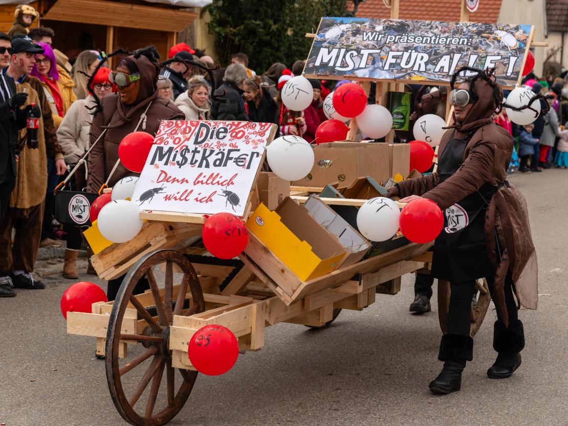 Faschingsumzug Megesheim 2026