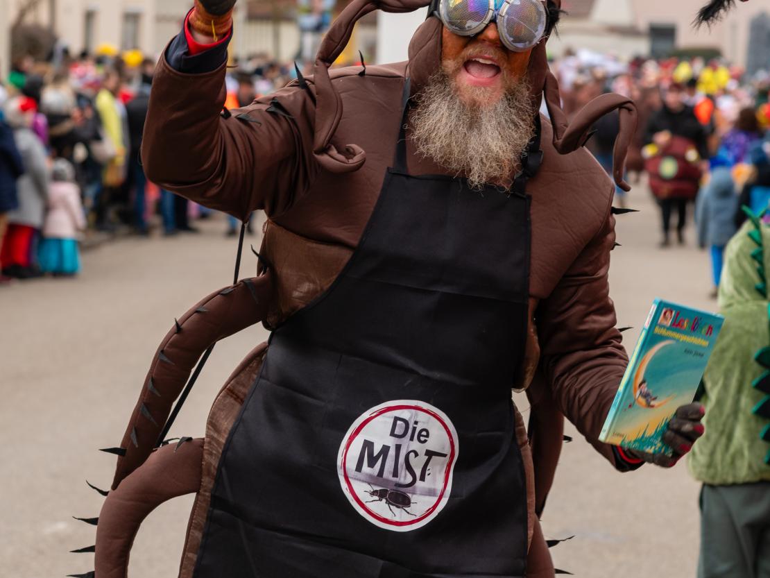 Faschingsumzug Megesheim 2026