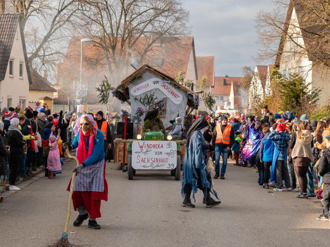 Faschingsumzug Megesheim 2026