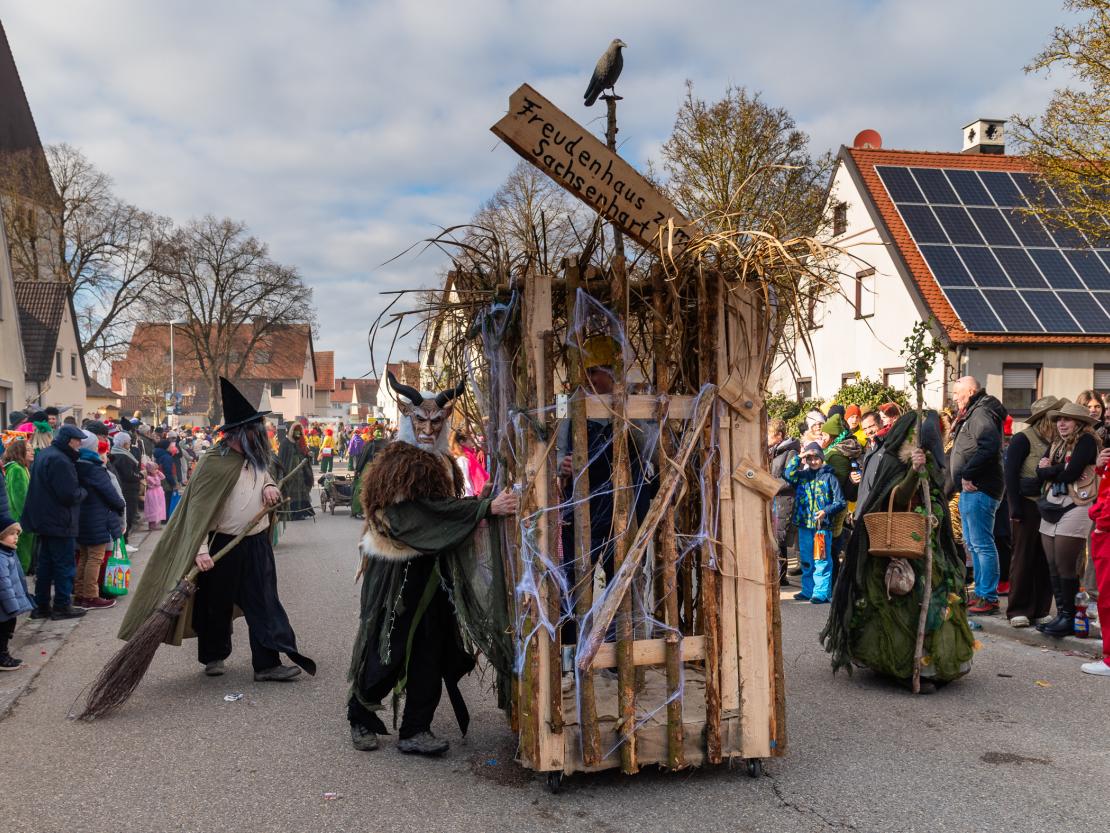 Faschingsumzug Megesheim 2026