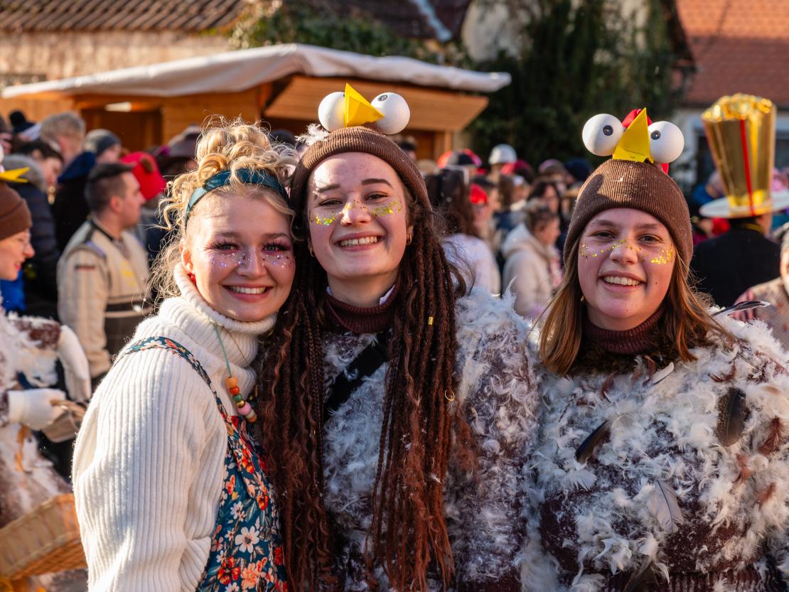 Faschingsumzug Megesheim 2026