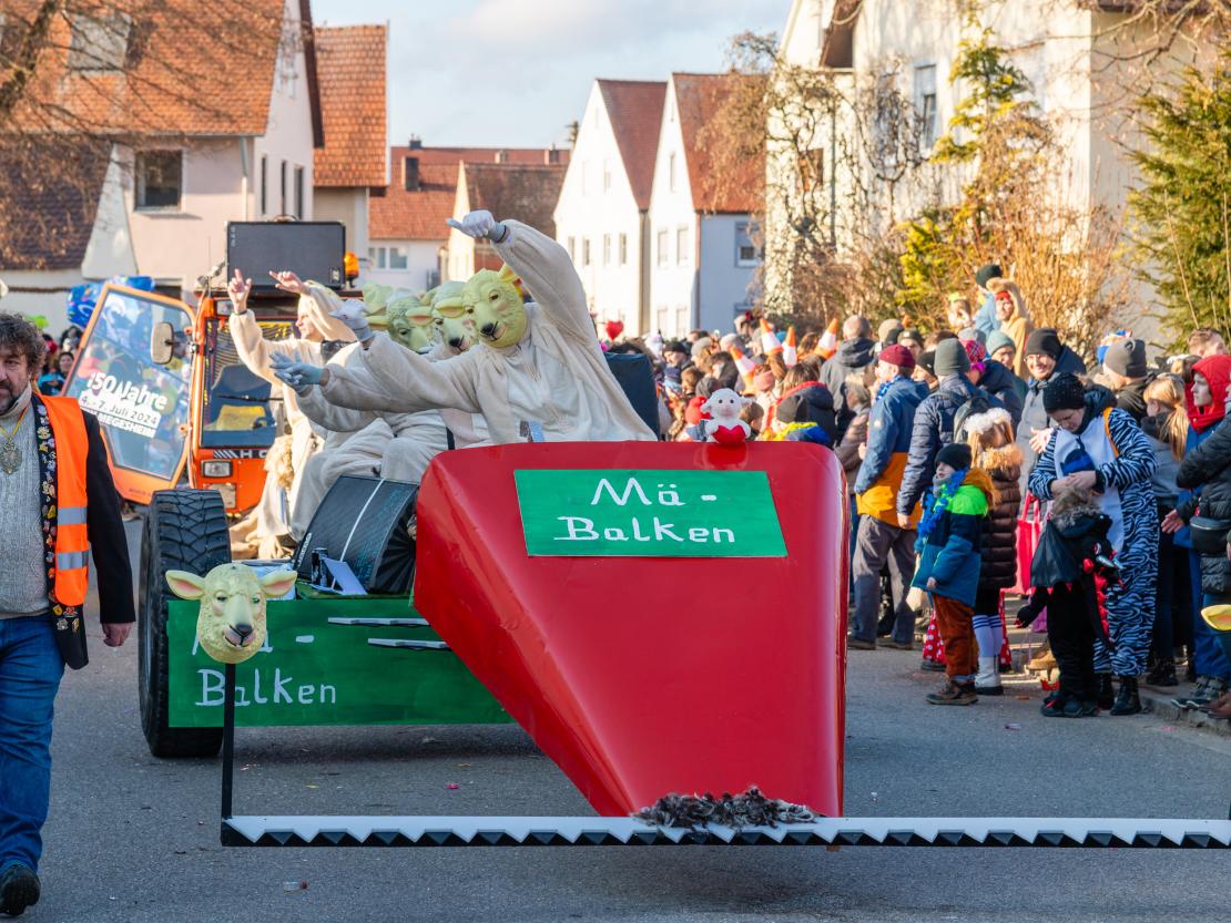 Faschingsumzug Megesheim 2026