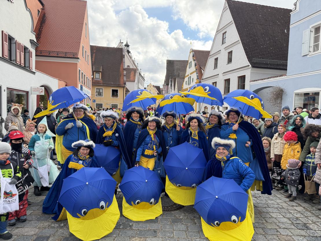 Faschingsumzug Wemding 2026