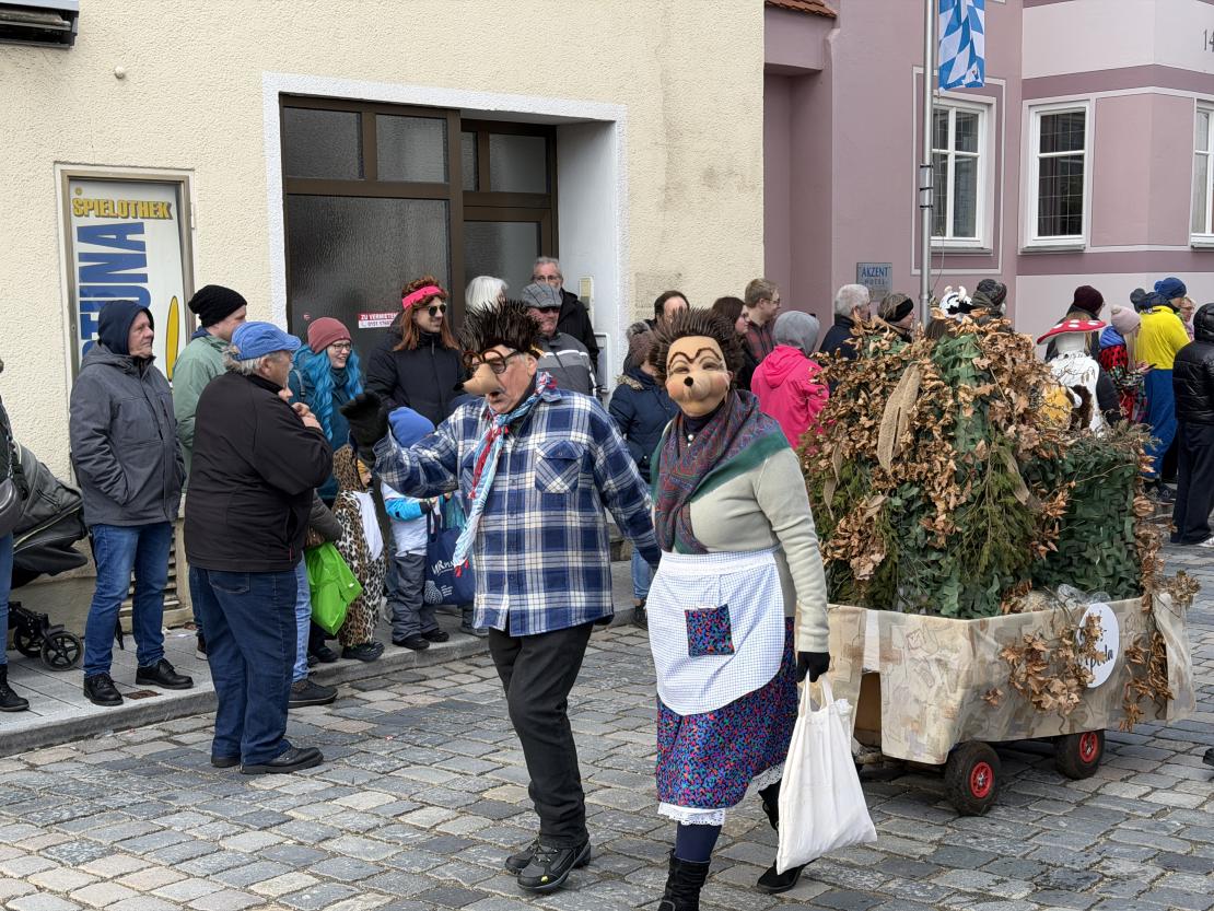 Faschingsumzug Wemding 2026