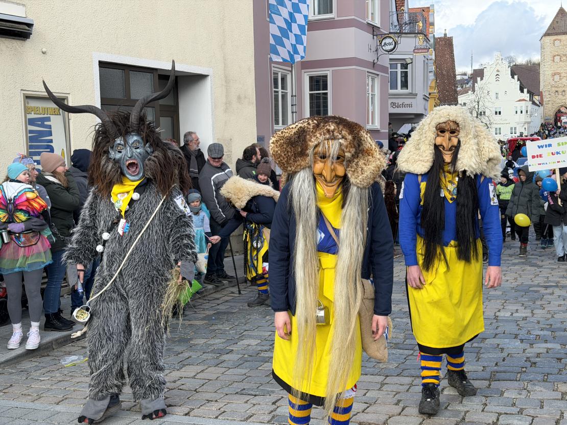 Faschingsumzug Wemding 2026
