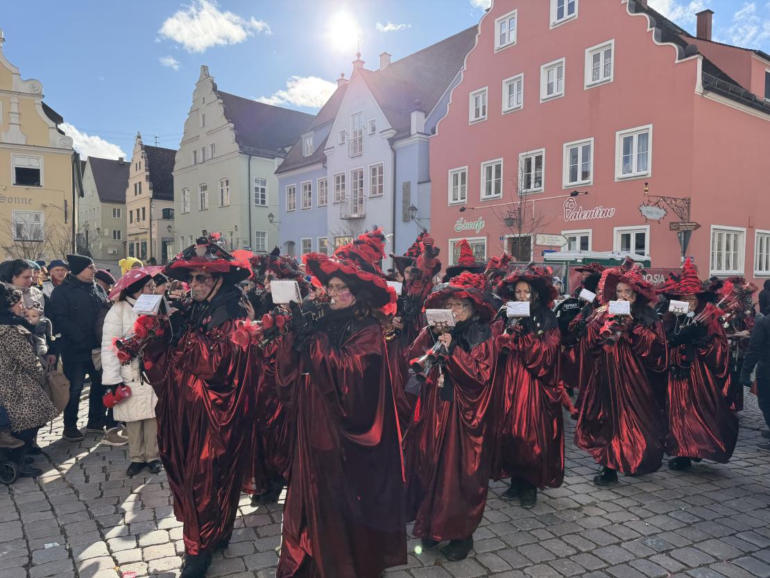 Faschingsumzug Wemding 2026