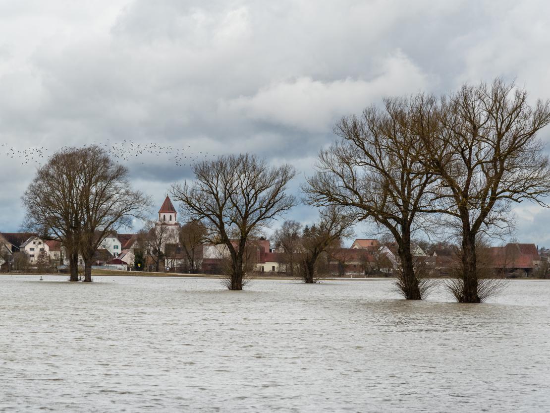 Hochwasser Harburg 2026