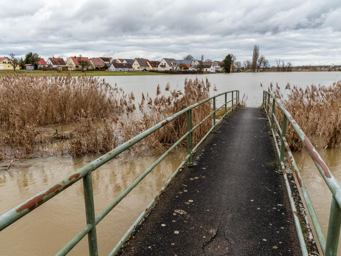 Hochwasser Harburg 2026