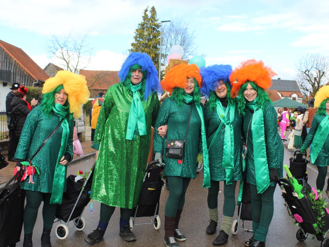 Faschingsumzug Oberndorf 2026