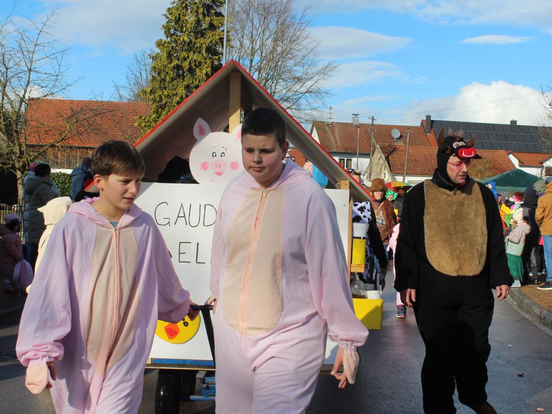 Faschingsumzug Oberndorf 2026