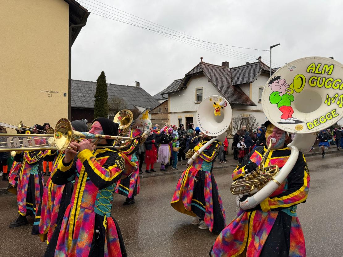 Faschingsumzug Genderkingen 2026
