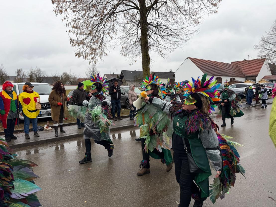 Faschingsumzug Genderkingen 2026