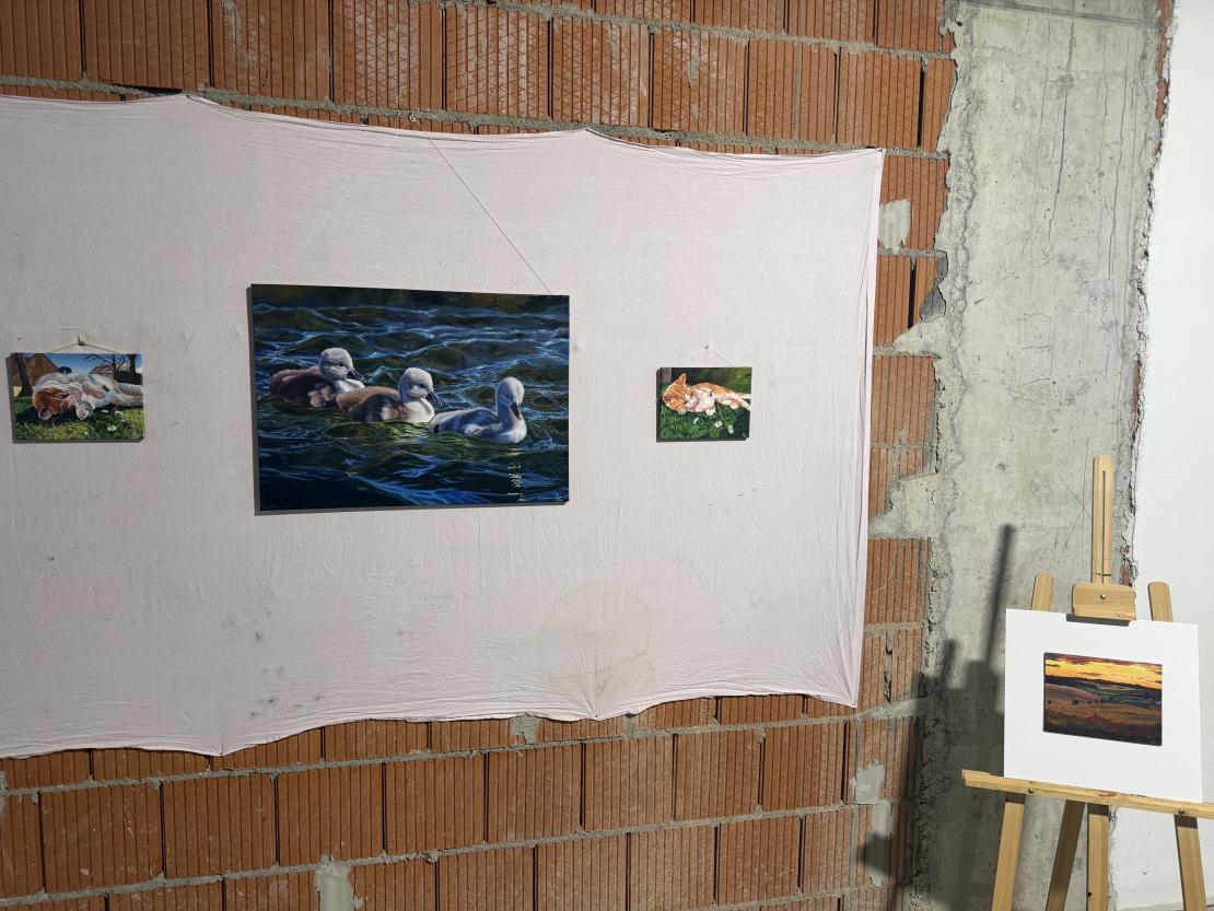 Forum junge Kunst 2026