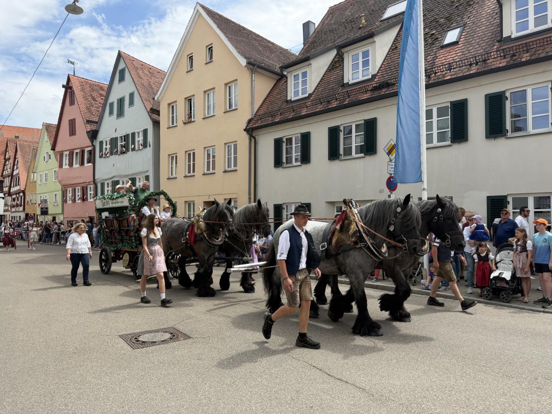 Nördlinger Mess' 2026