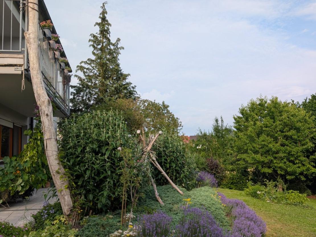 Garten in Eßwein