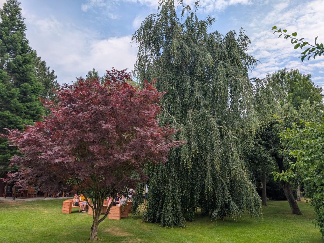 Garten in Balgheim