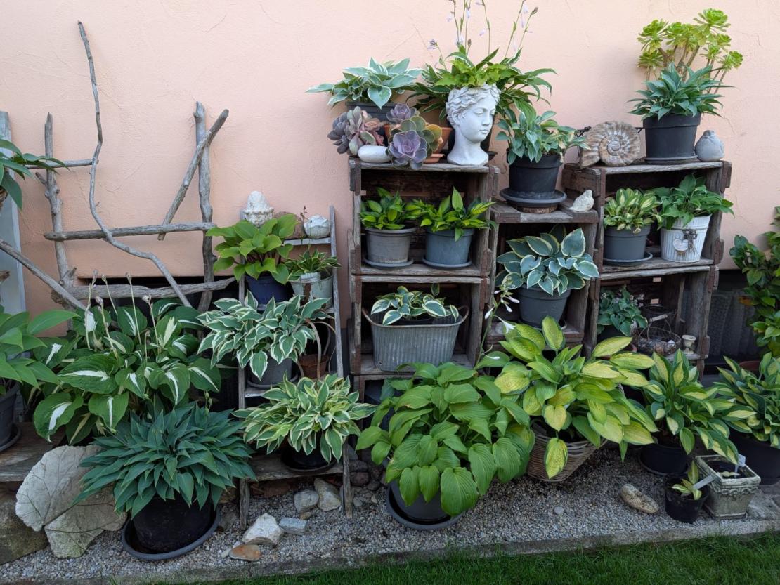 Garten in Balgheim