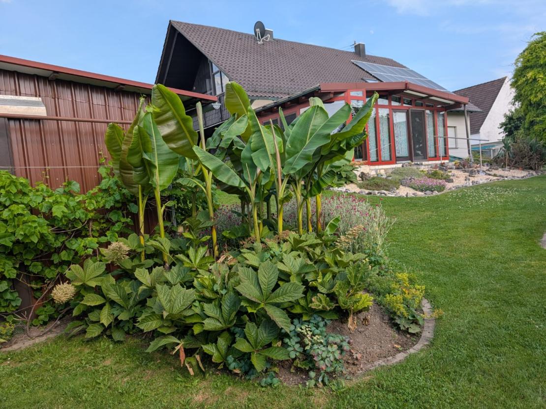 Garten in Bäumenheim