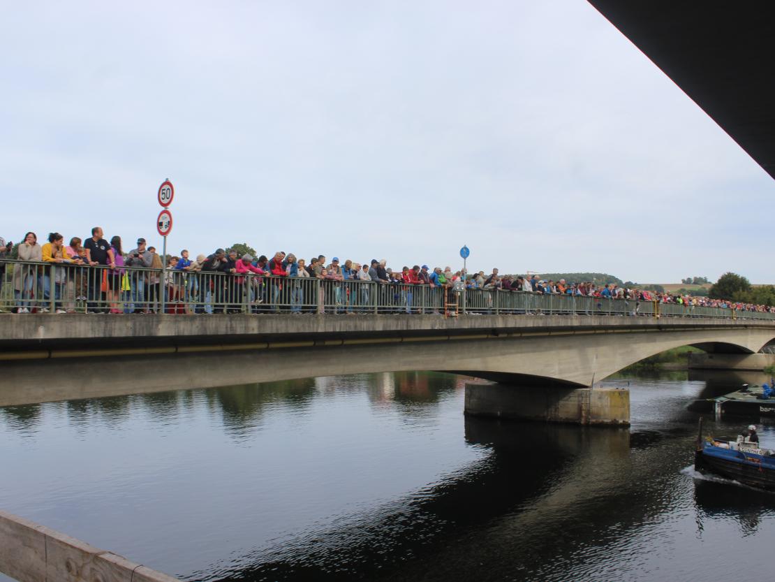 Donaubrücke Marxheim Einschwimmen 2026