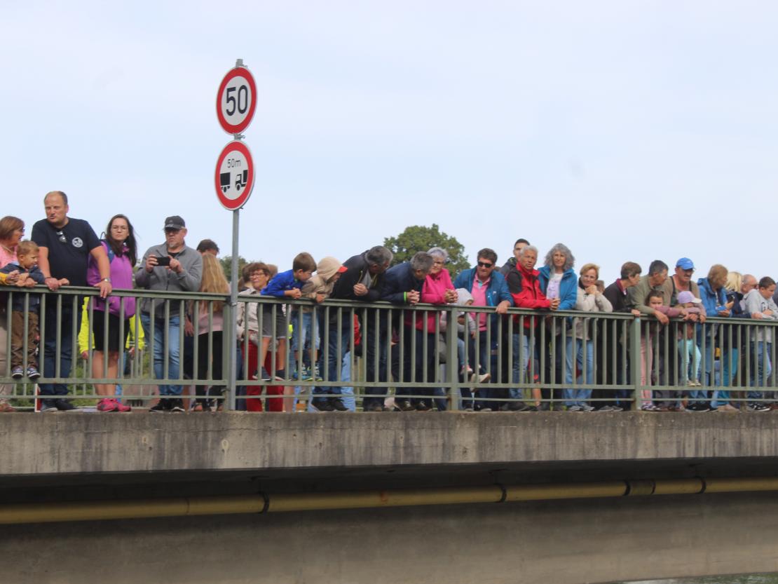 Donaubrücke Marxheim Einschwimmen 2026