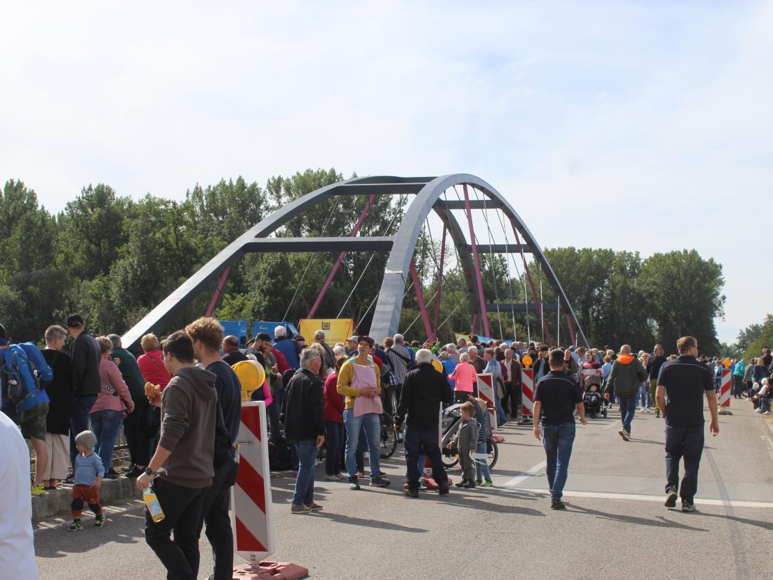 Donaubrücke Marxheim Einschwimmen 2026