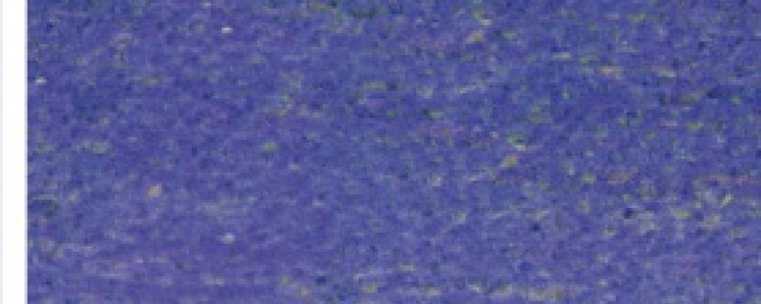 978-3-446-23489-5_291215134114-105-1