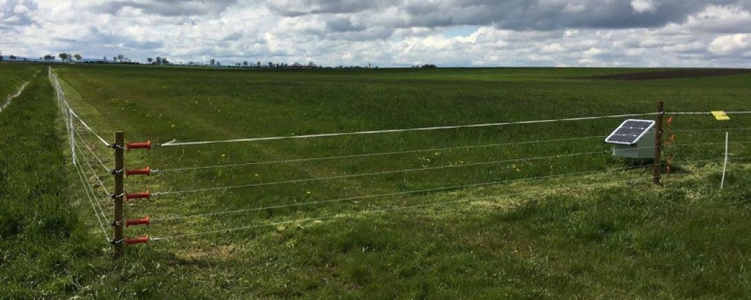 zaun-alerheim-28-04-2016_foto_j-kronberg