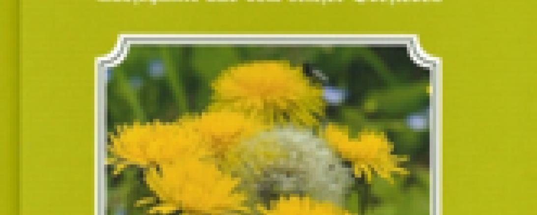 buch_hommelbloama_wei_kl_klein