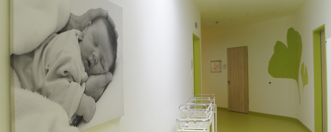 Geburten rekorde gku 2017 2