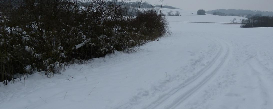 Langlaufloipe Wemding 2017