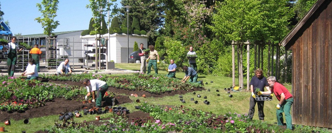 Mitmach Bauernhof Sankt Johannes 2017 2