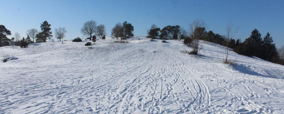 Rodeln am Harburger Bock