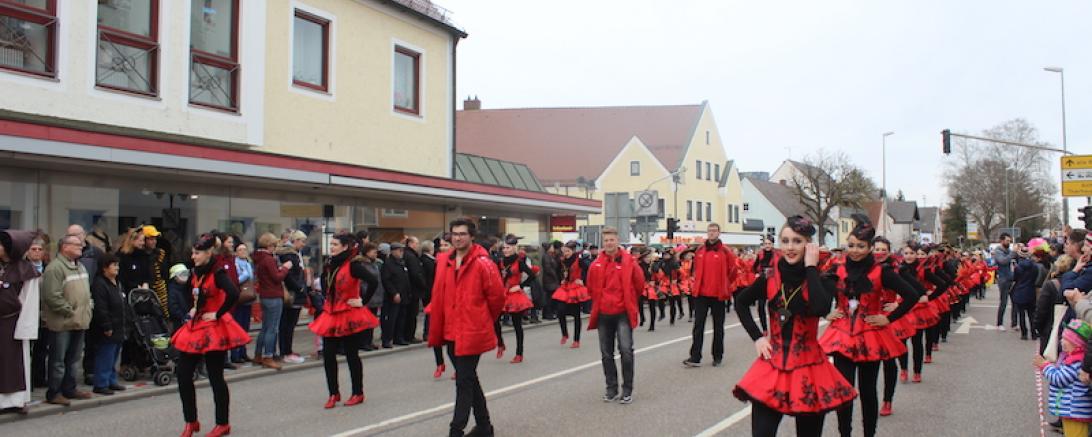 Faschingsumzug Rain 2017-3