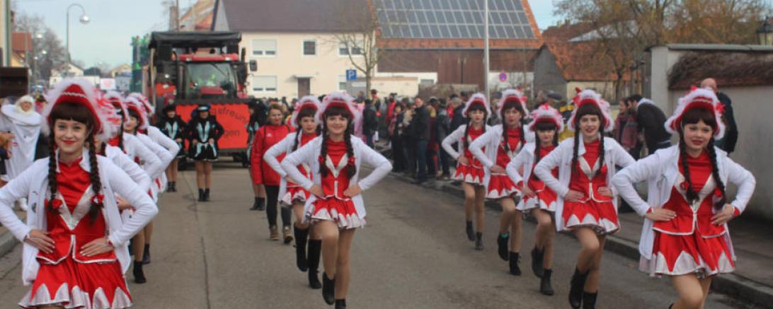 Umzug Mertingen 2017@Matthias Stark 008