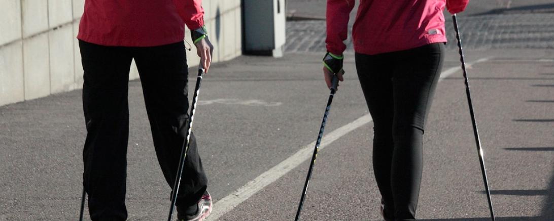 nordig walking pixabay