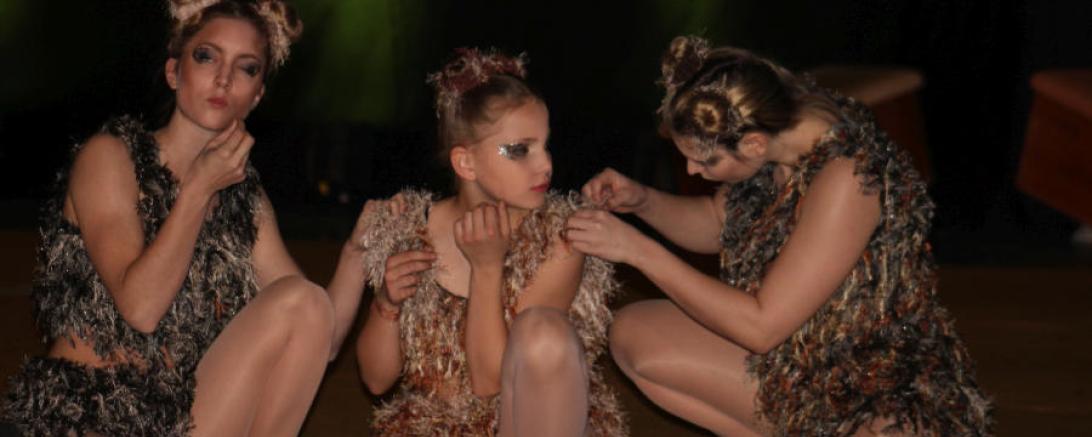 Donauwörth ehrt seine besten Sportler 3