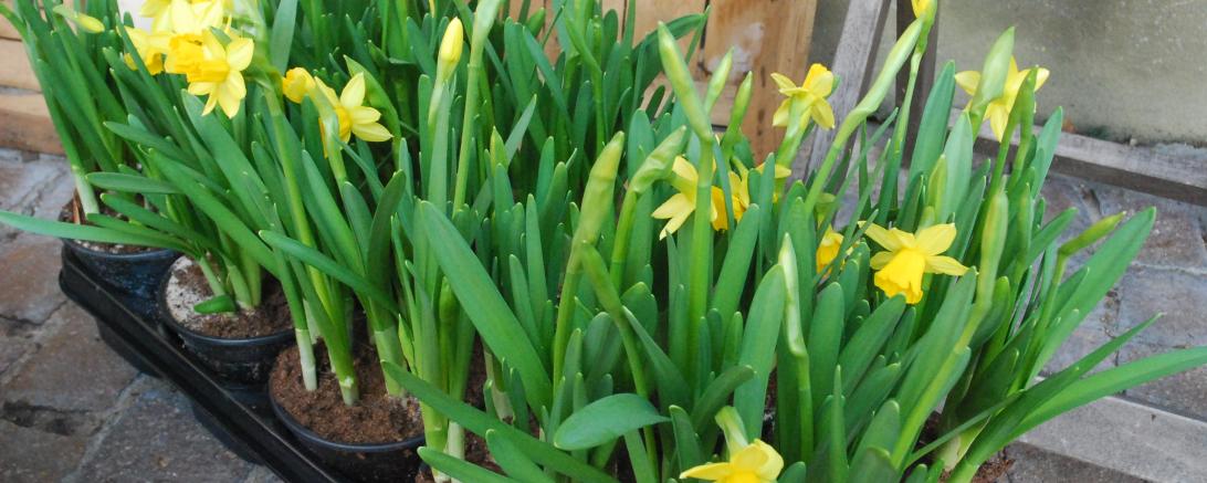 Märkte, Sport, Theater und Konzerte - Was ist los am Wochenende? 1