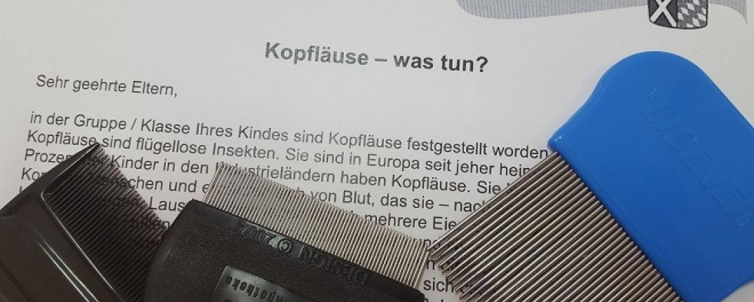 Ungebetene Gäste auf dem Kopf