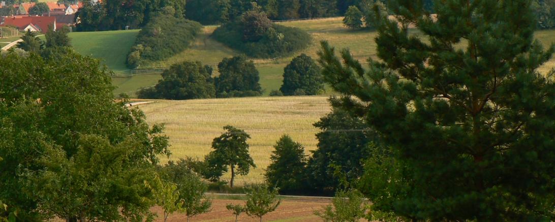 Stadt Oettingen_Riesblick vom Roßfeld1@Werner Rensing