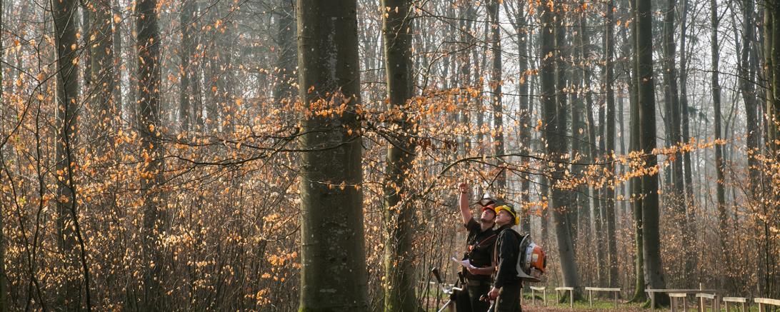 waldruh_ostalb_f2A1B1138_fotohaushirsch