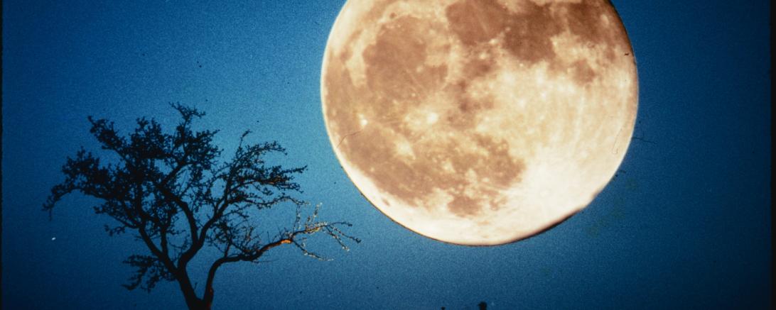 Mond_HeinrichFörstnerjun