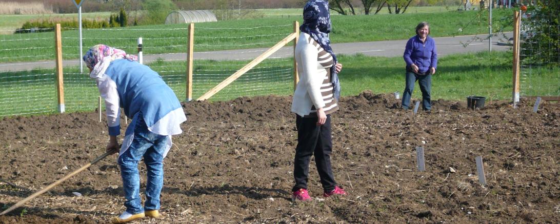 Integrationsgarten Oettingen 1