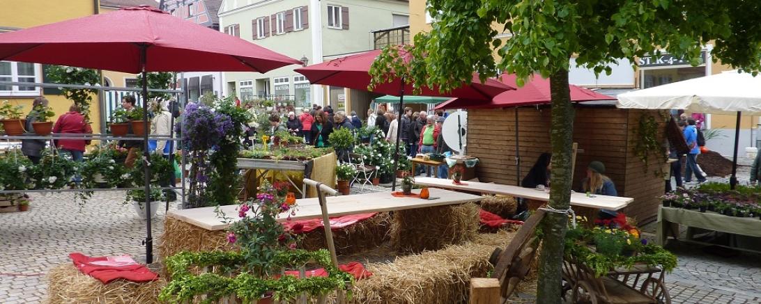Fuchsienmarkt