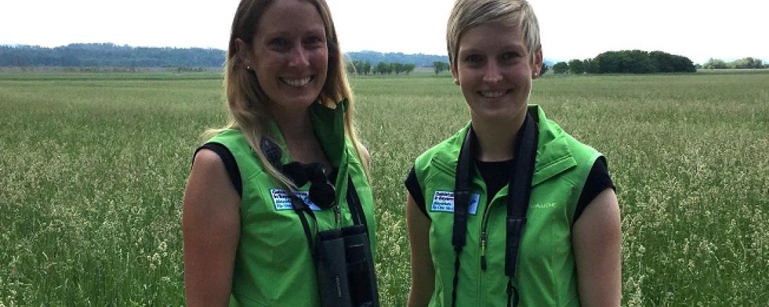 Processed with MOLDIV