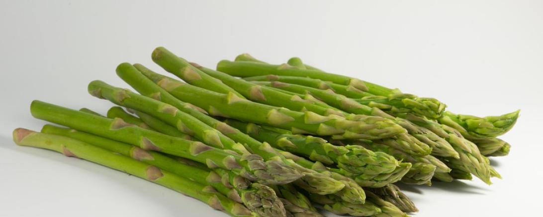 spargel