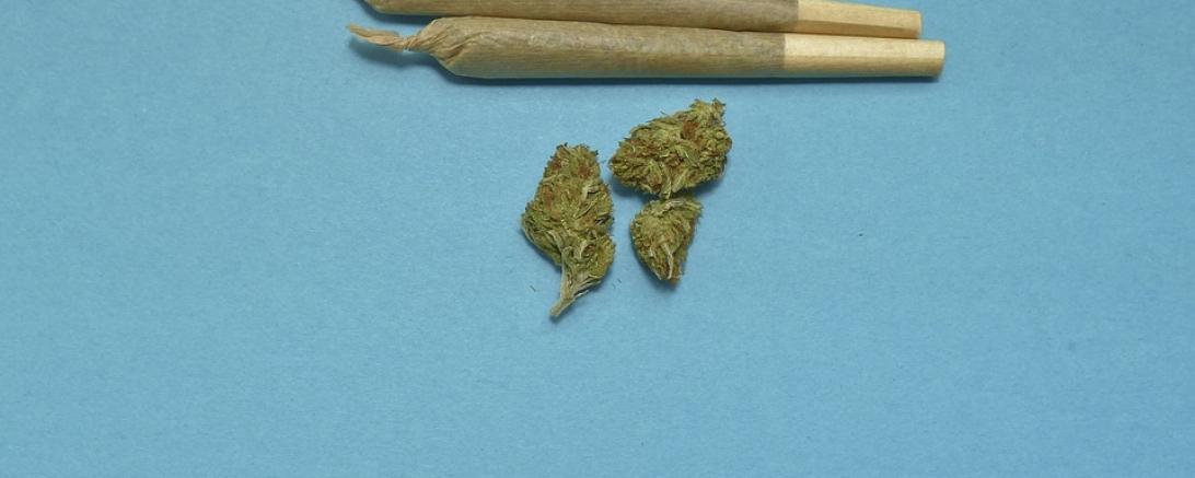 marijuana-2248066_960_720