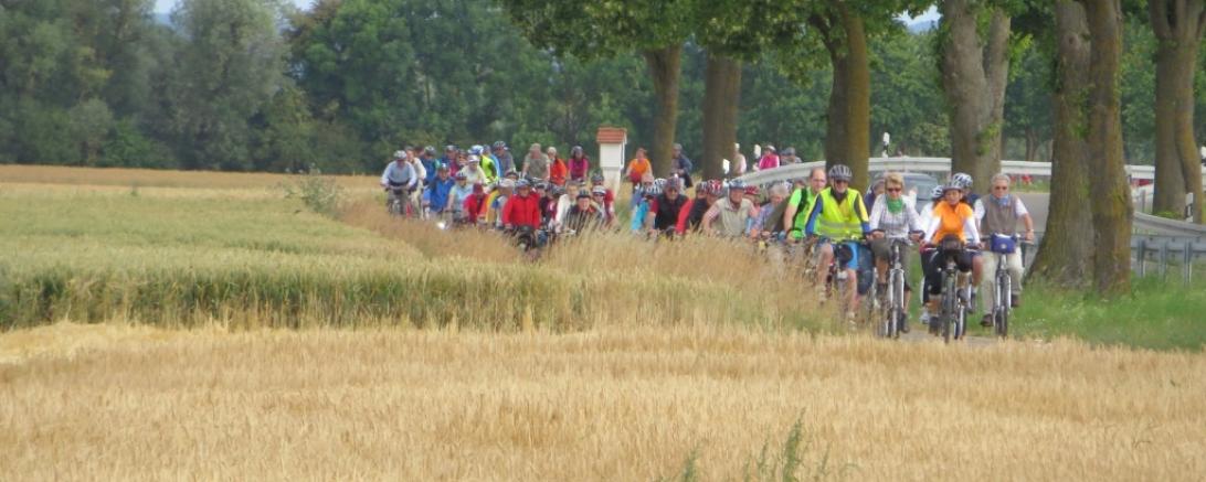 Radlertross bei auchsesheim 2 klein